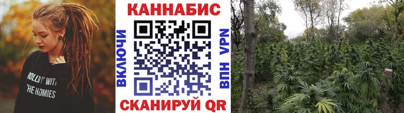 Какие есть наркотики Комсомольск Бошки Шишки  Псилоцибиновые грибы  Гашиш  Меф  СОЛЬ 
