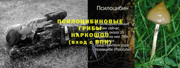 винт Белокуриха
